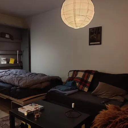 Spacious And Cozy Study Apartment With Balcony Oslo Exterior photo