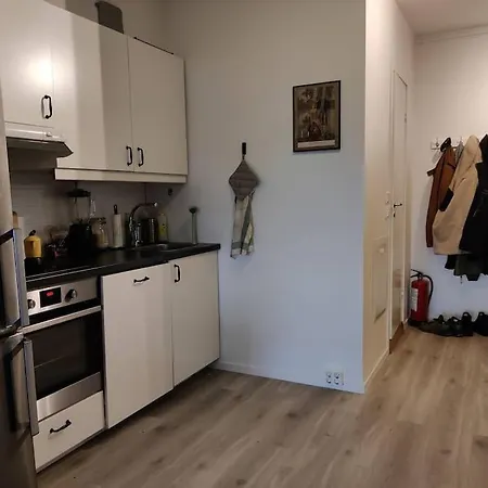 Spacious And Cozy Study Apartment With Balcony Oslo Exterior photo