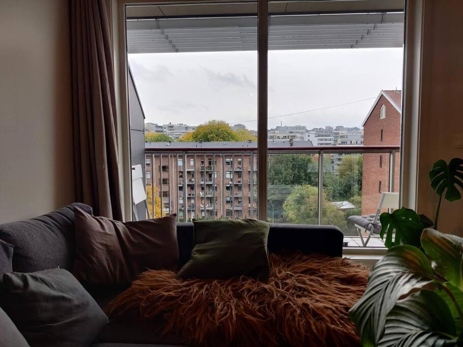 Spacious And Cozy Study With Balcony Осло