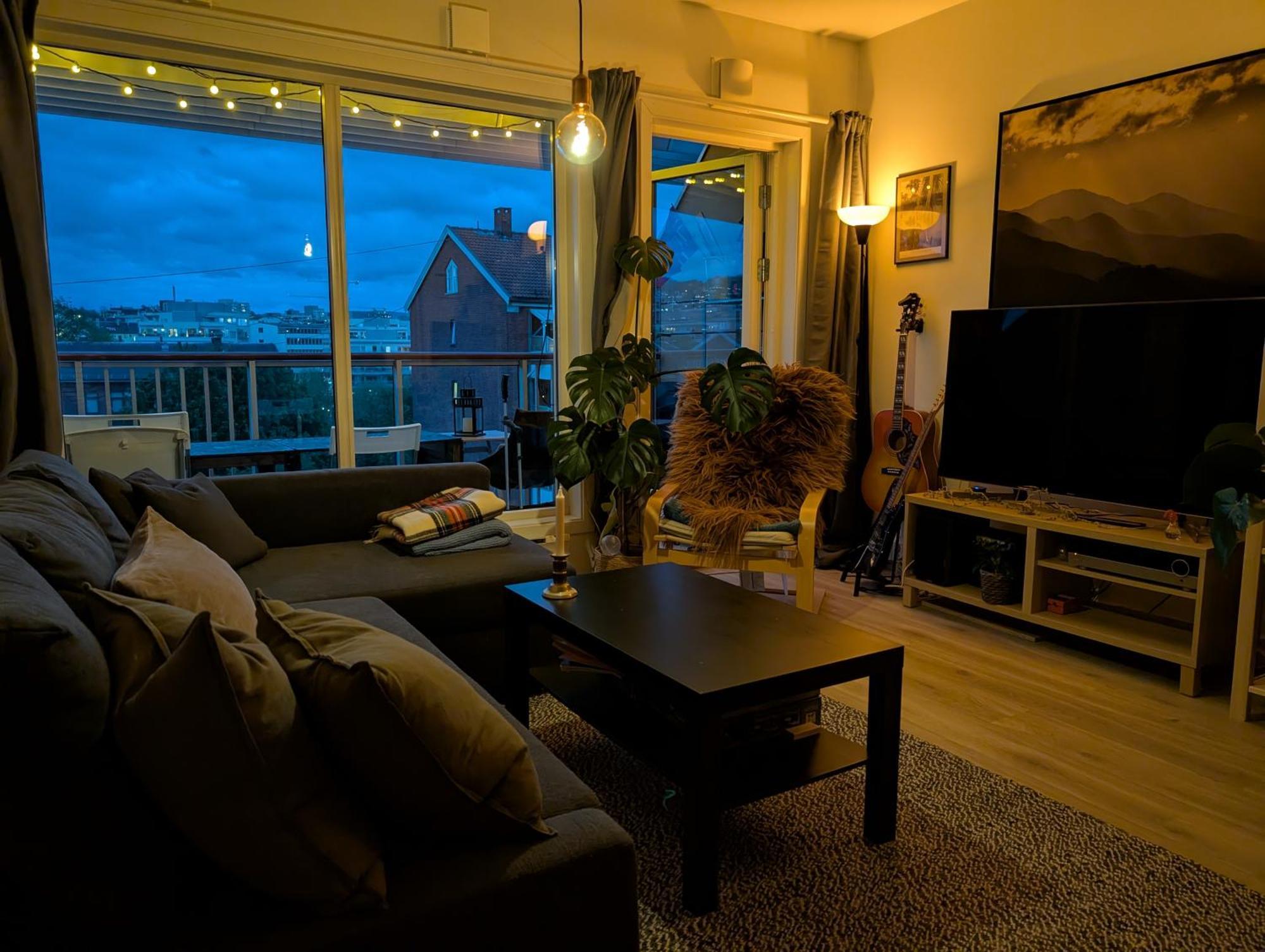Spacious And Cozy Study With Balcony Apartment Oslo