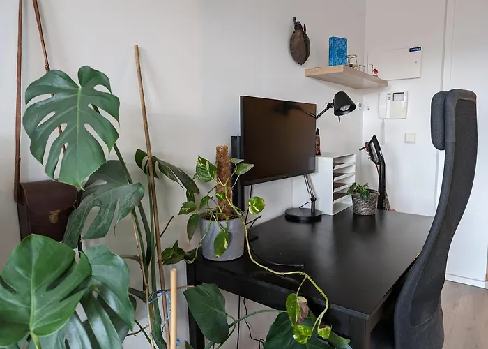 Spacious And Cozy Study Apartment With Balcony